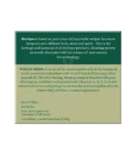 Крем з пшеницею (Bio Wheat Cream Biotique) 55 Гр. - Зображення 2