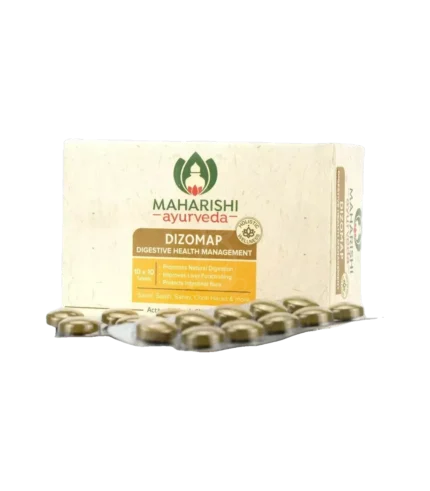 Дізомап (Dizomap Maharishi) 100 Таб.